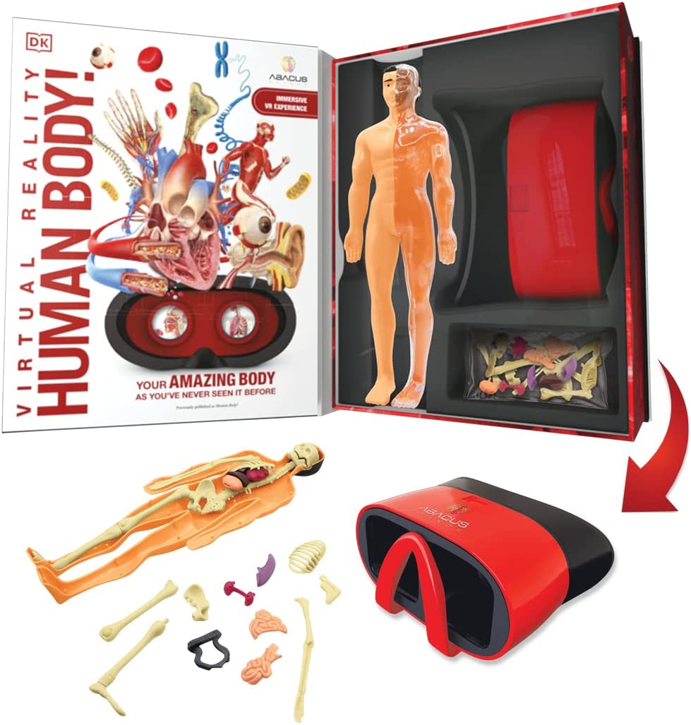 Virtual Reality Human Body