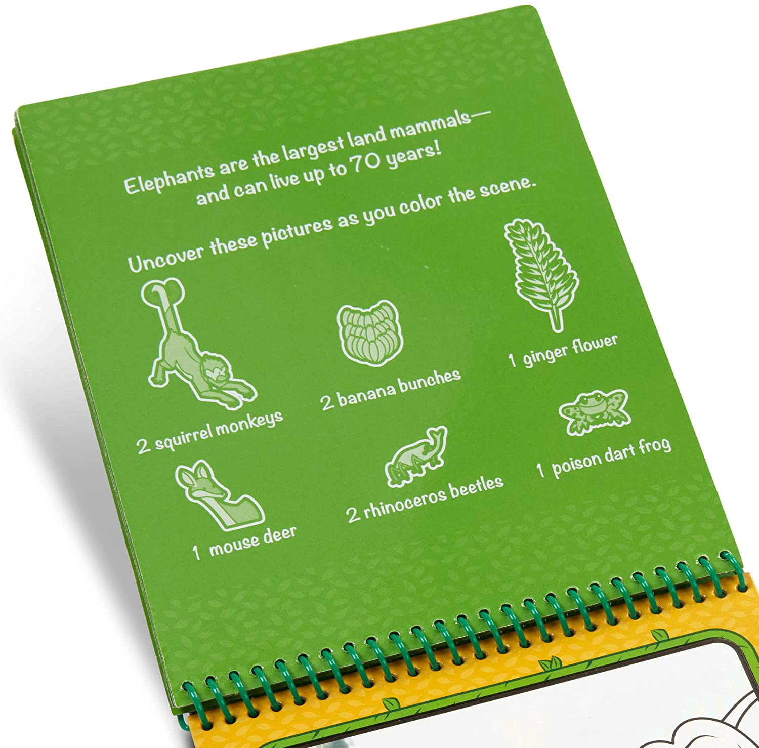 Water Wow! Reusable Water-Reveal Activity Pad - Jungle