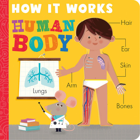 How it Works: Human Body Board Book