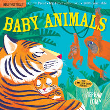 Baby Animals (Indestructibles Book)