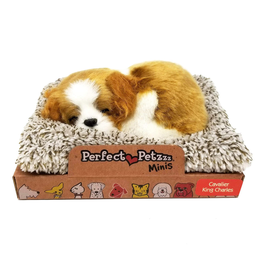 Mini Cavalier King Perfect Petzzz — Learning Express Gifts