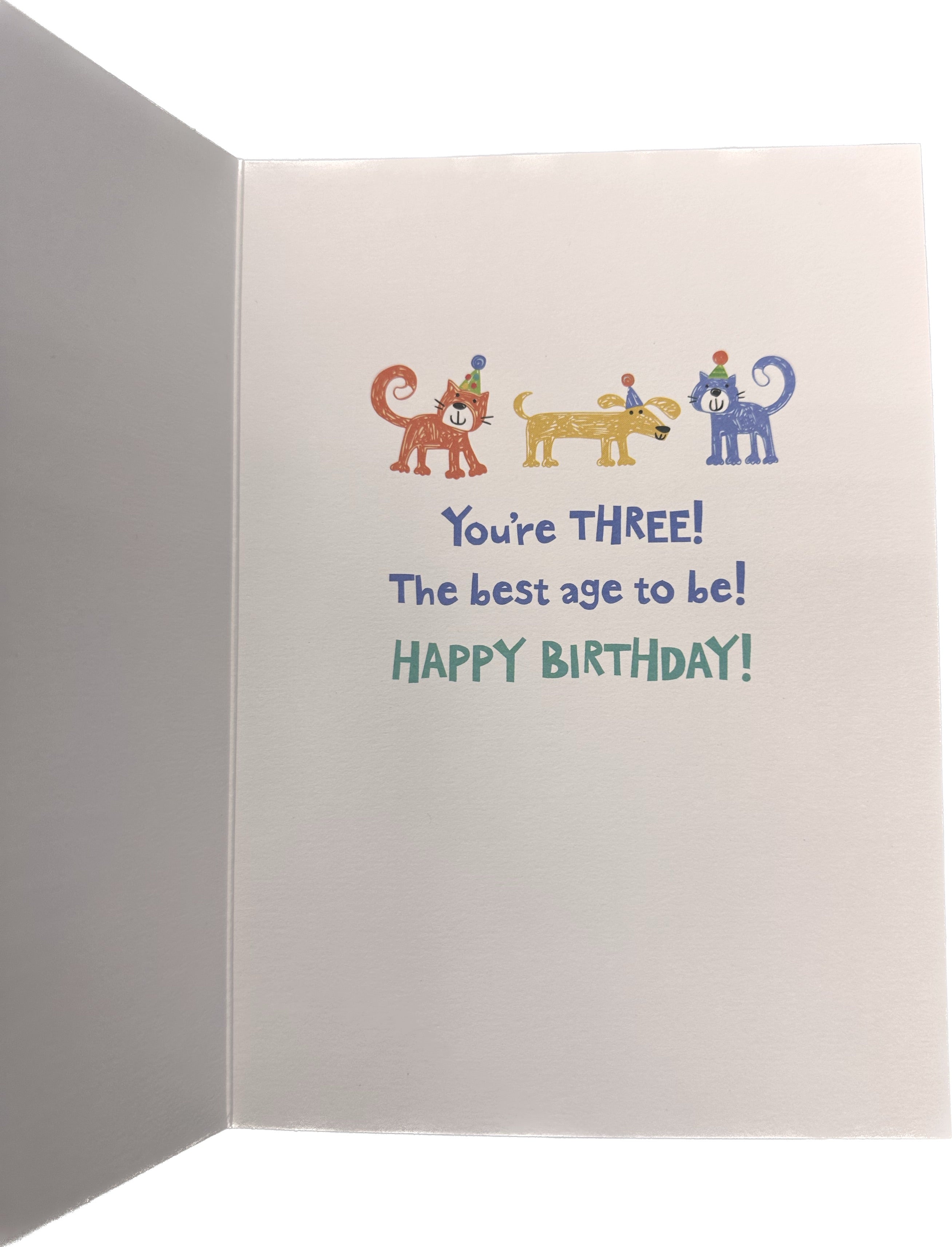AGE-SPECIFIC: FOIL: 3 YEAR OLD CARD