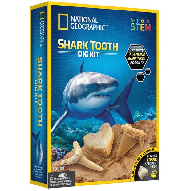 National Geographic Shark Tooth Dig