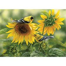 1000 Piece Sunflowers And Goldfinches Puzzle